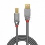 Cablu Lindy 2m USB 2.0 Type A to B Cromo